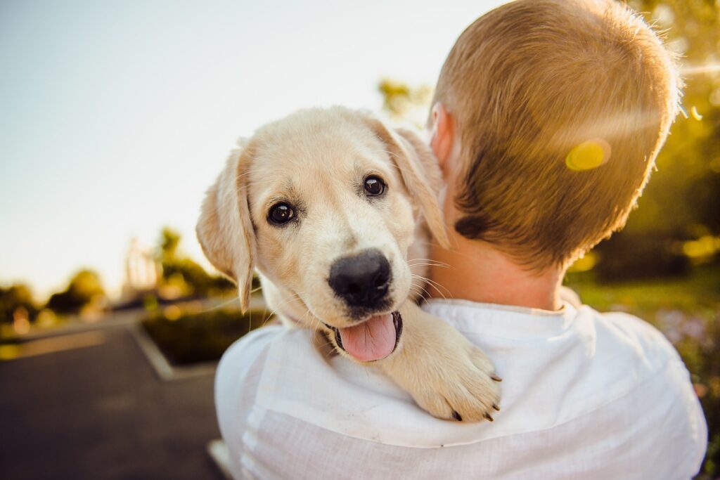 pet friendly coventry ri